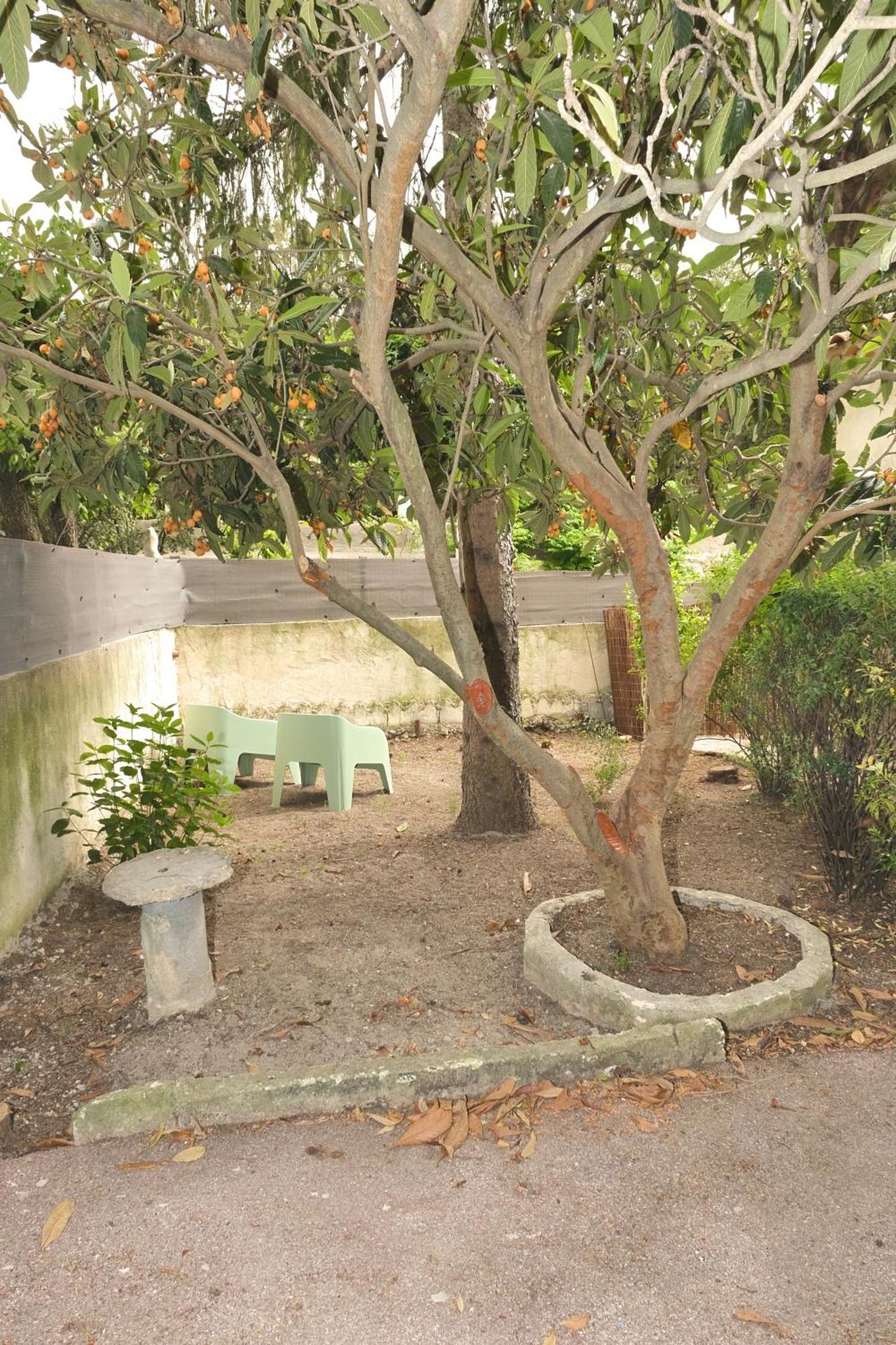 Studio Independant Avec Jardin Bouc-Bel-Air Extérieur photo